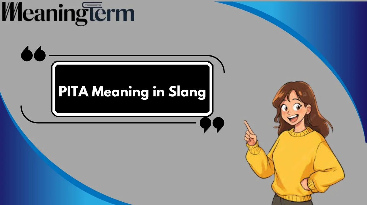 PITA Meaning in Slang