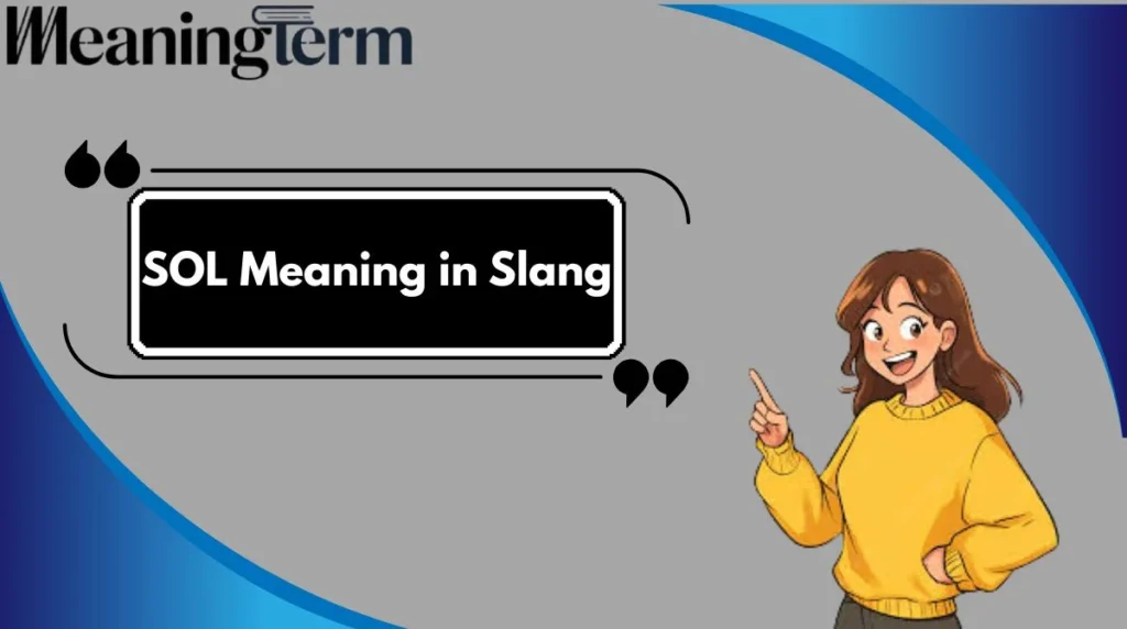 SOL Meaning in Slang