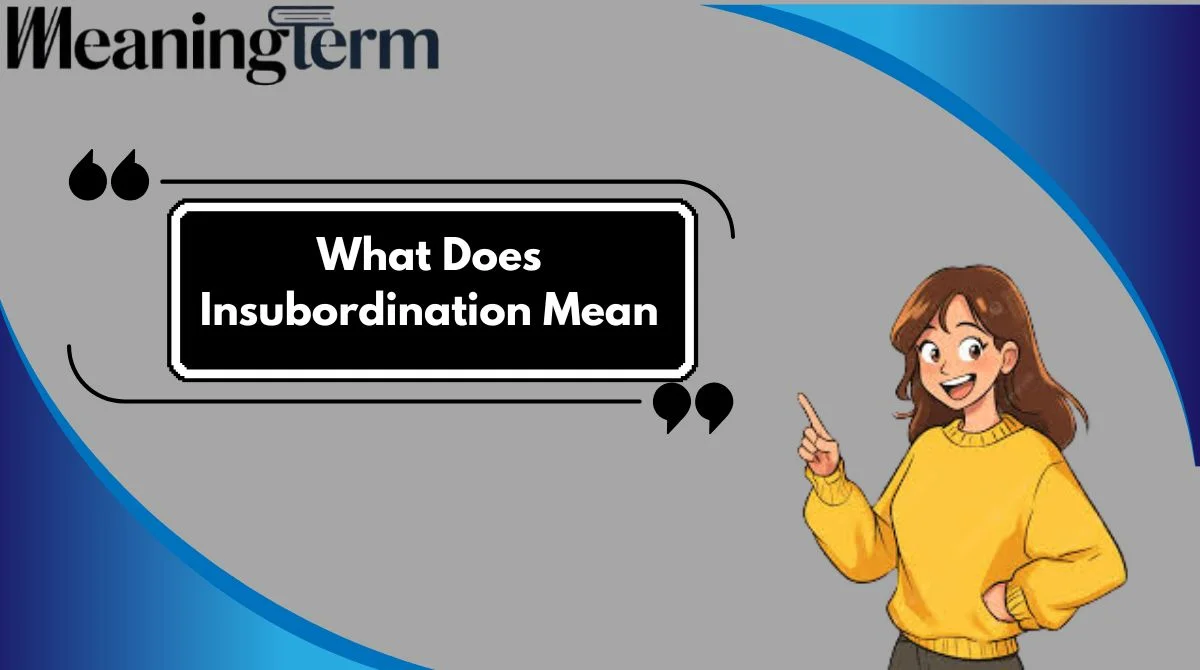 What Does Insubordination Mean