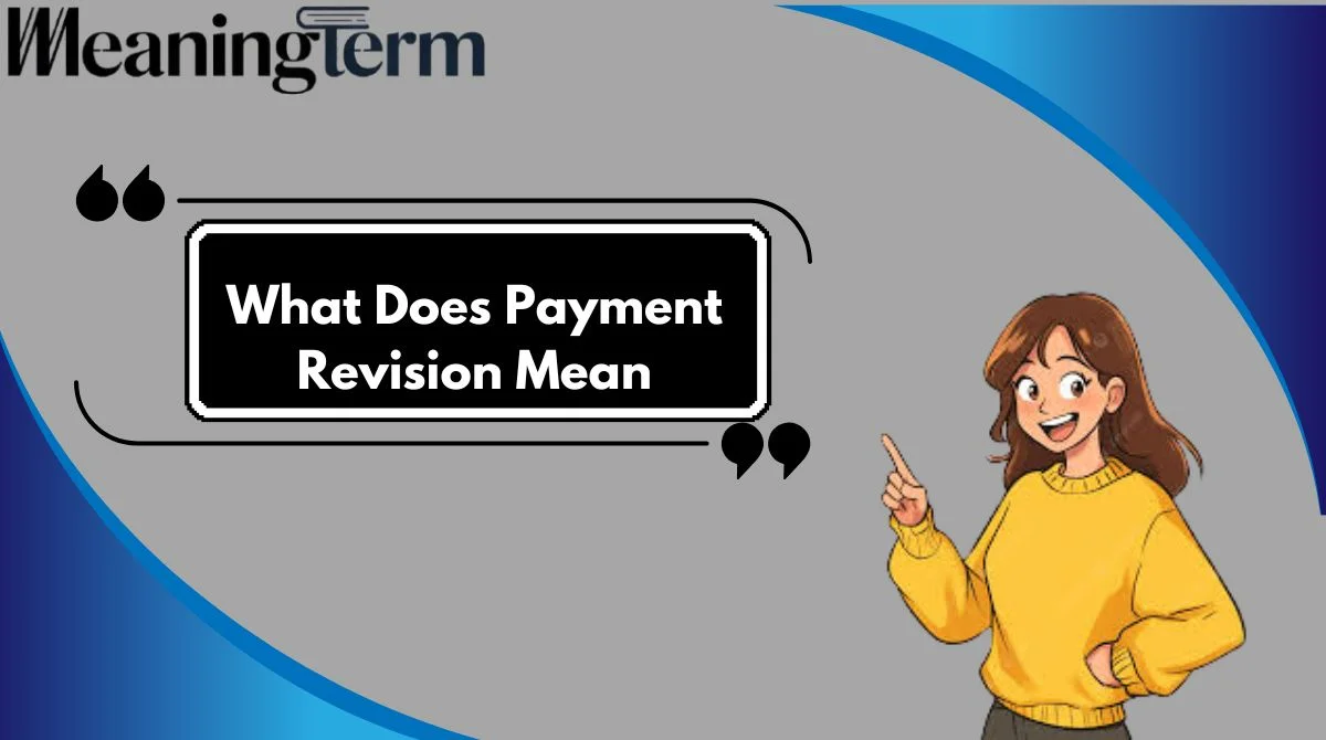 What Does Payment Revision Mean