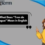 What Does “Tren de Aragua” Mean in English