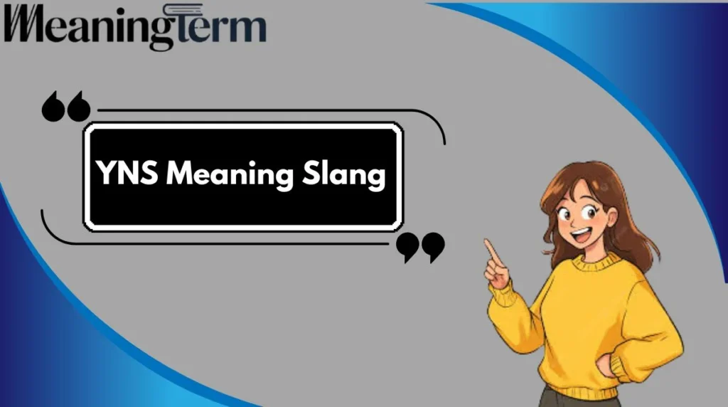 YNS Meaning Slang