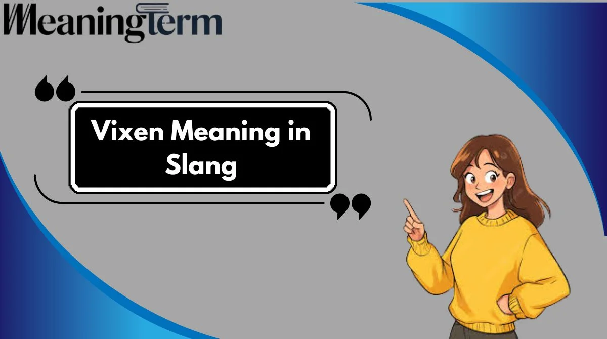 Vixen Meaning in Slang
